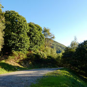 Monti di Mezzovico (posteggio) 758 m