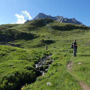 Alpe San Giacomo di Manió 2220 m