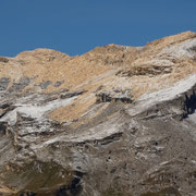 Gelbhorn