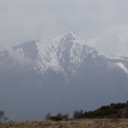 Manera