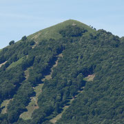 Monte Ferraro