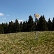 Motto d'Arbino 1691 m