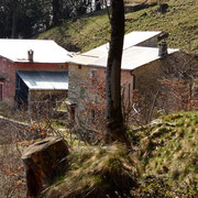 La Bedóla