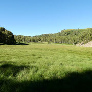 Gola di Lago 972 m