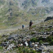 Traversone sotto il Schwarzlochhorn