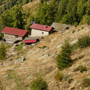 Alpe di Forcarìd 1705 m