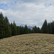 Motto d'Arbino 1689 m