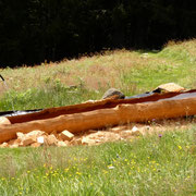 Alp de Curtas
