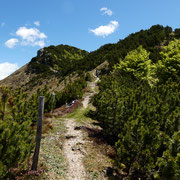 Salita alla Cima di Fojorina