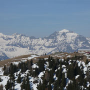 Alp di Brogoldone e Capanna