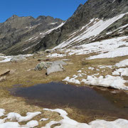 Alp de Setaggié 2000 m
