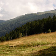 Da Parusciana 1229 m verso il Piz de Molinera