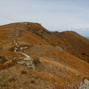 Monte Lema