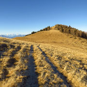 Alpe di Gesero