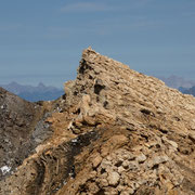 Gelbhorn