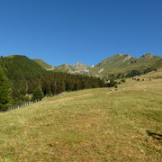 Pian Gorda