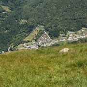 Medeglia