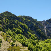 Cima Mosè e Cima dell'Oress