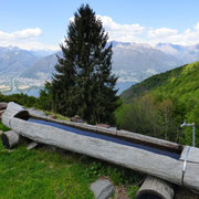 Alpe di Trecciura 1160 m