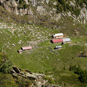 Alp d'Albion