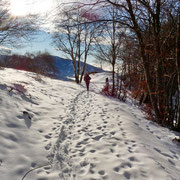 Nove Fontane 1394 m