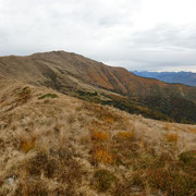 Panoramica