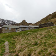 Alpe Albano 1756 m