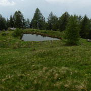 Cascina dei Piai 1959 m