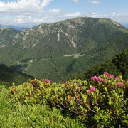 Covreto, Paión e Monte Gambarogno