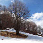 Passo Pairolo 1406 m