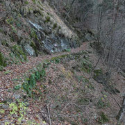 Sentiero nella Valle di Pianturino
