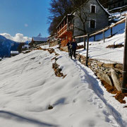 Piansecco 1423 m