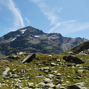 Pizzo Tambo