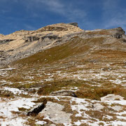 Gelbhorn