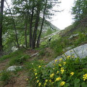 Verso l'Alpe Pesced