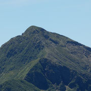 Marmontana