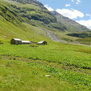 Alp de Rog