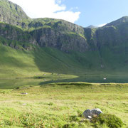 Lago Cadagno 1921 m