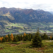 Domleschg