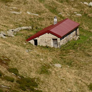 Campo