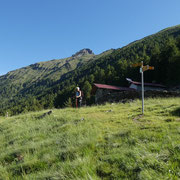 Alpe Forcarid 1713 m