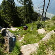 Nel tratto ripido verso il Martum