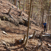 Sul sentiero per l'Alpe Foppiana