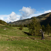 Alpe di Giumello 1594 m