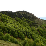 Cima di Fojorina