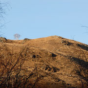 Cima di Lago