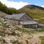 Alpe Cedullo 1291 m