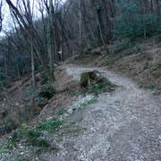 Sentiero che sale al San Salvatore