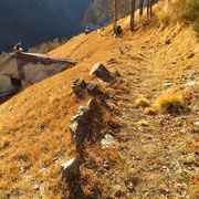 Monti del Dosso 1326 m