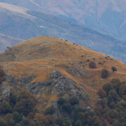 Monte Ferraro